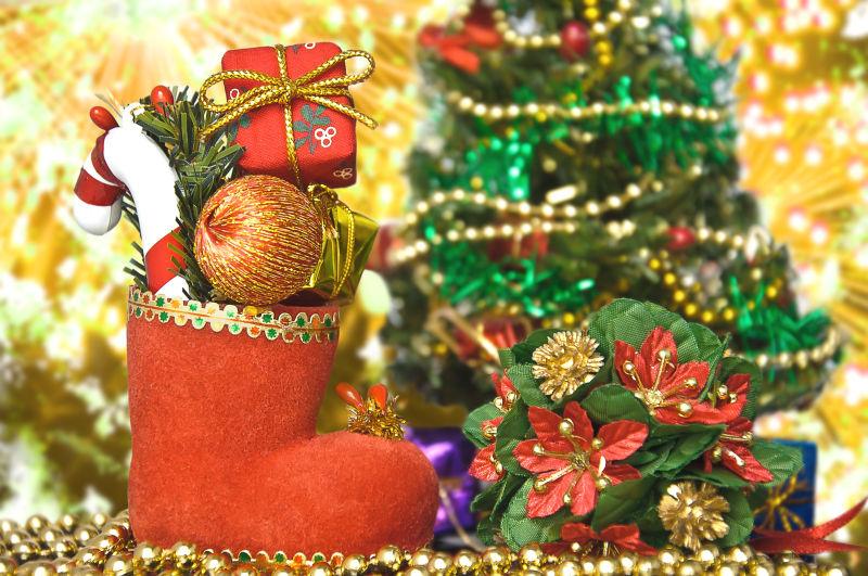 杉树前放的圣诞节礼物