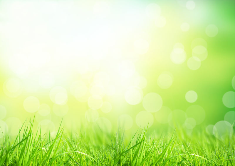 春季明媚阳光下的绿草