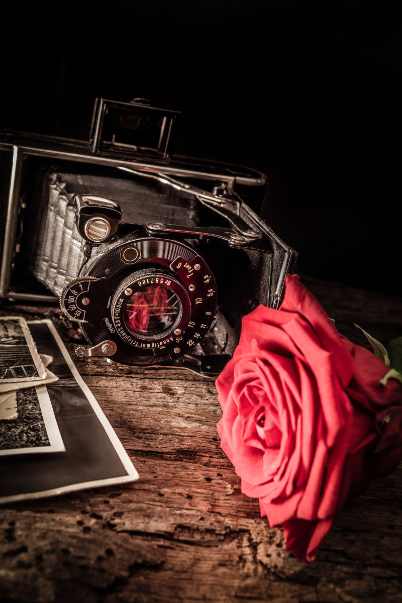 玫瑰和老式相机