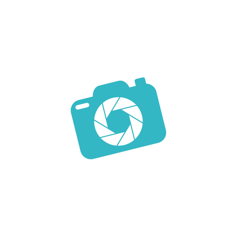 蓝色的相机矢量标识