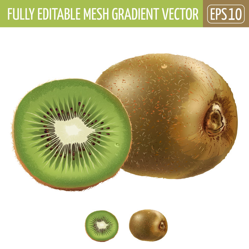 矢量猕猴桃插图