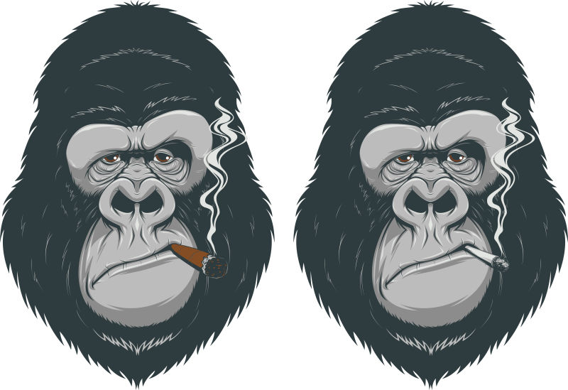 矢量卡通吸烟的猴子