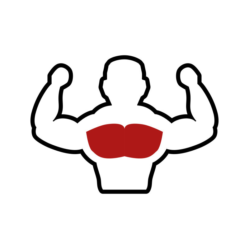 健美运动员背部肌肉矢量插画