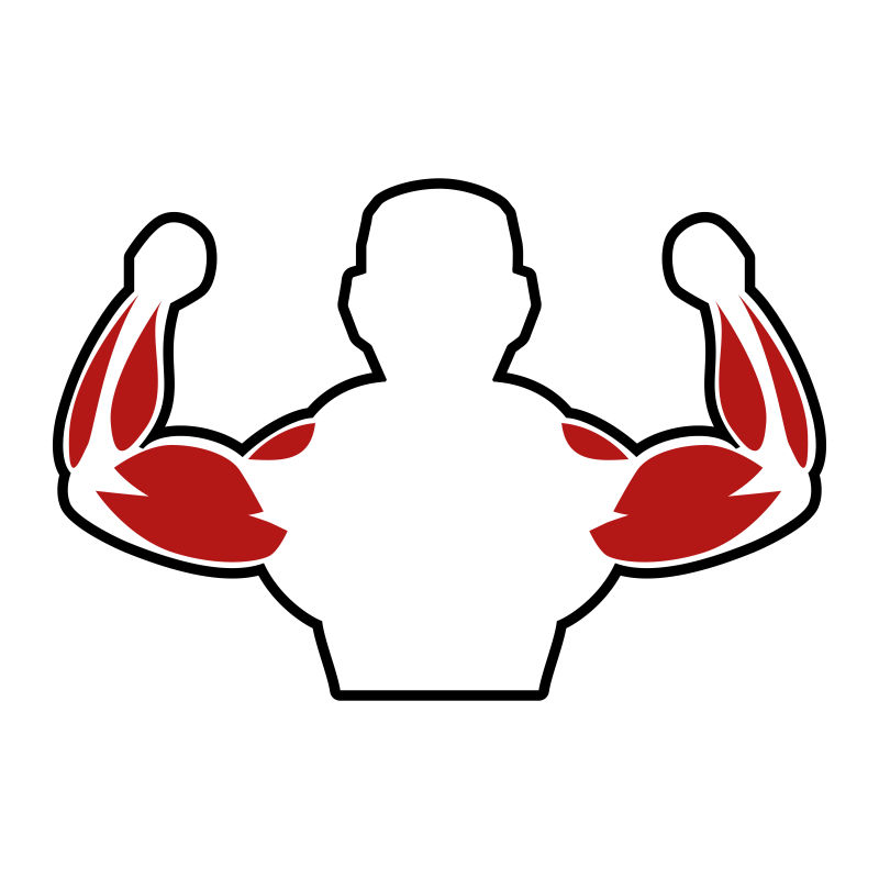 人体胳膊上的肌肉矢量插画