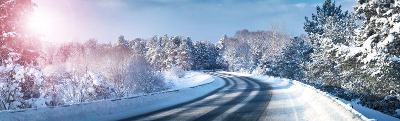 阳光下覆盖雪的道路和两旁的落满雪的树木