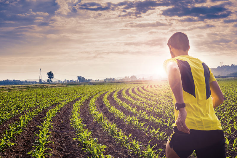 在玉米田奔跑的人