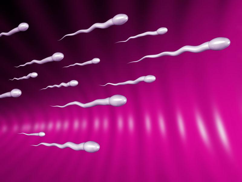 争分夺秒的精子群