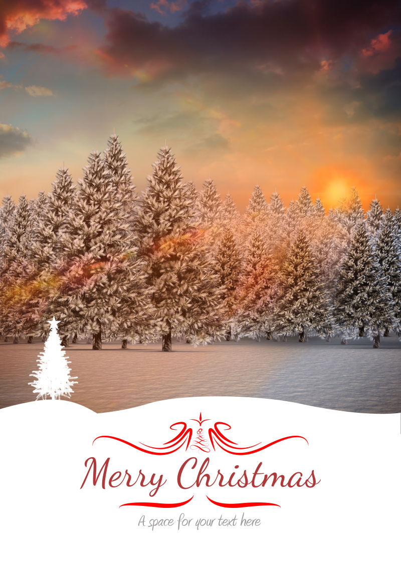 夕阳下美丽的覆盖着雪花的杉木林