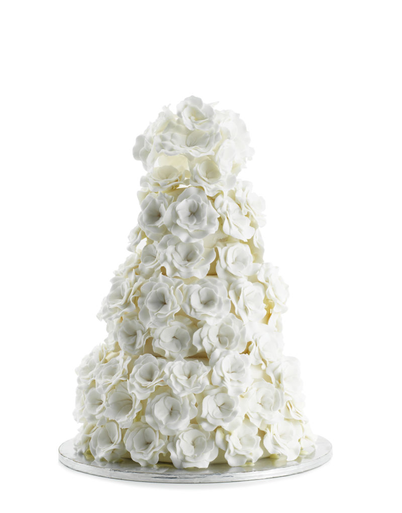 白色背景下的玫瑰花蛋糕