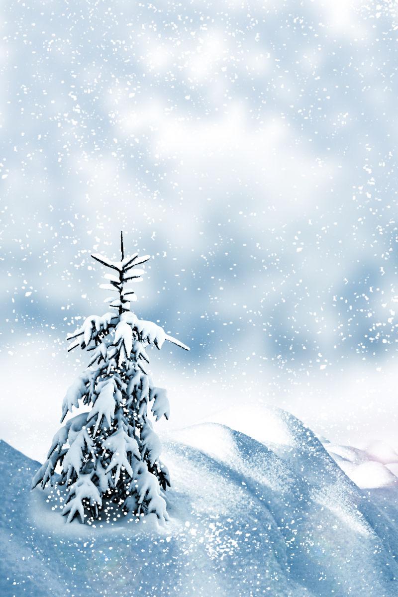 落满雪的树图片 雪景背景上落满雪的树素材 高清图片 摄影照片 寻图免费打包下载