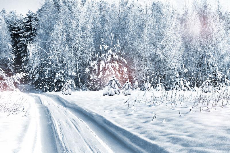 大雪覆盖的林间公路