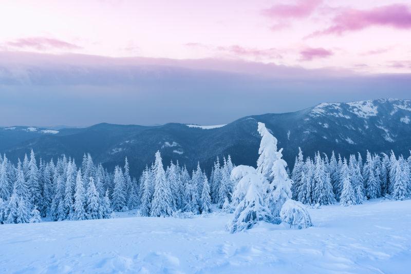 夕阳西下的冬季山上的风景