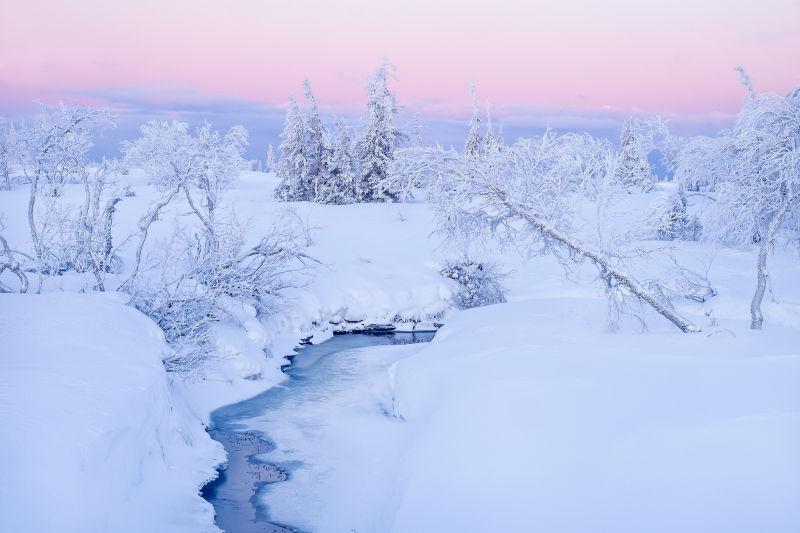 冬季森林雪地下的小河流