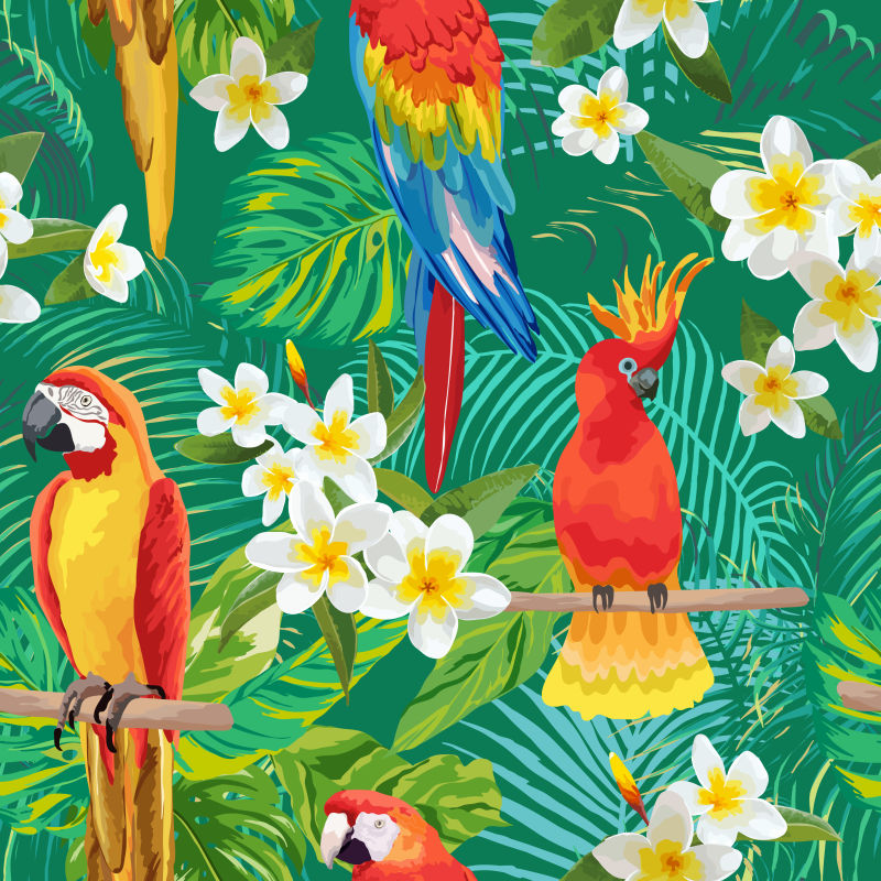 矢量热带花卉树叶和鸟类的背景