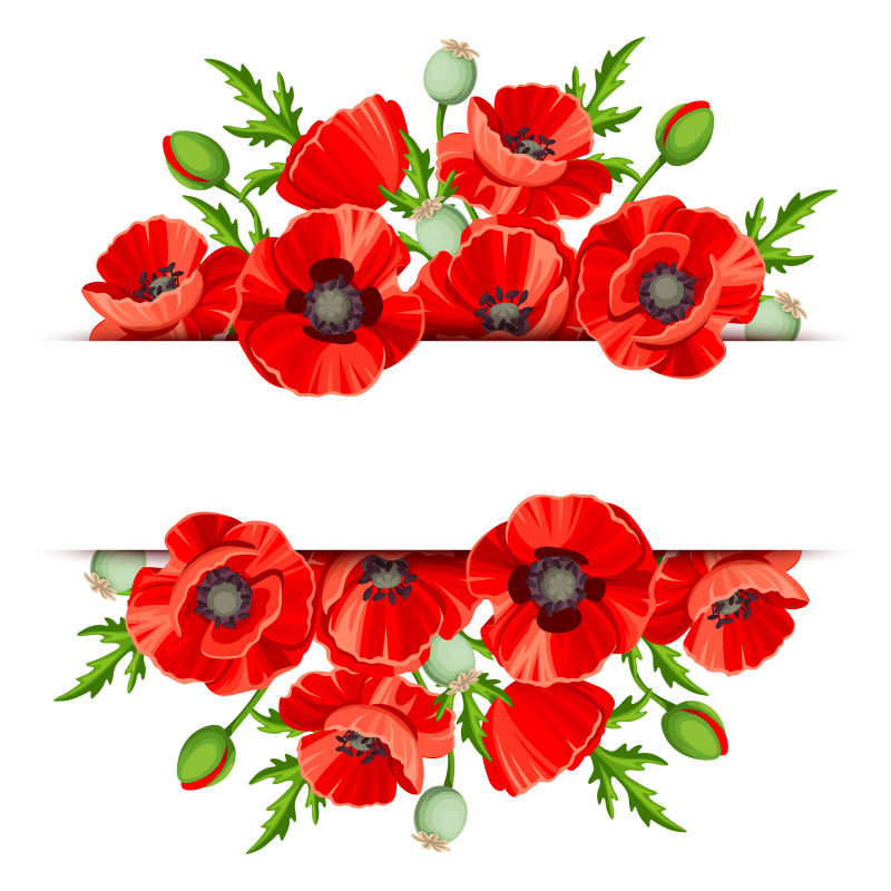 罂粟花框的矢量空白卡片