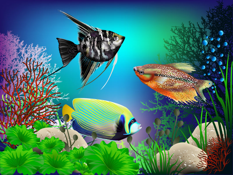 美丽的矢量海底世界设计