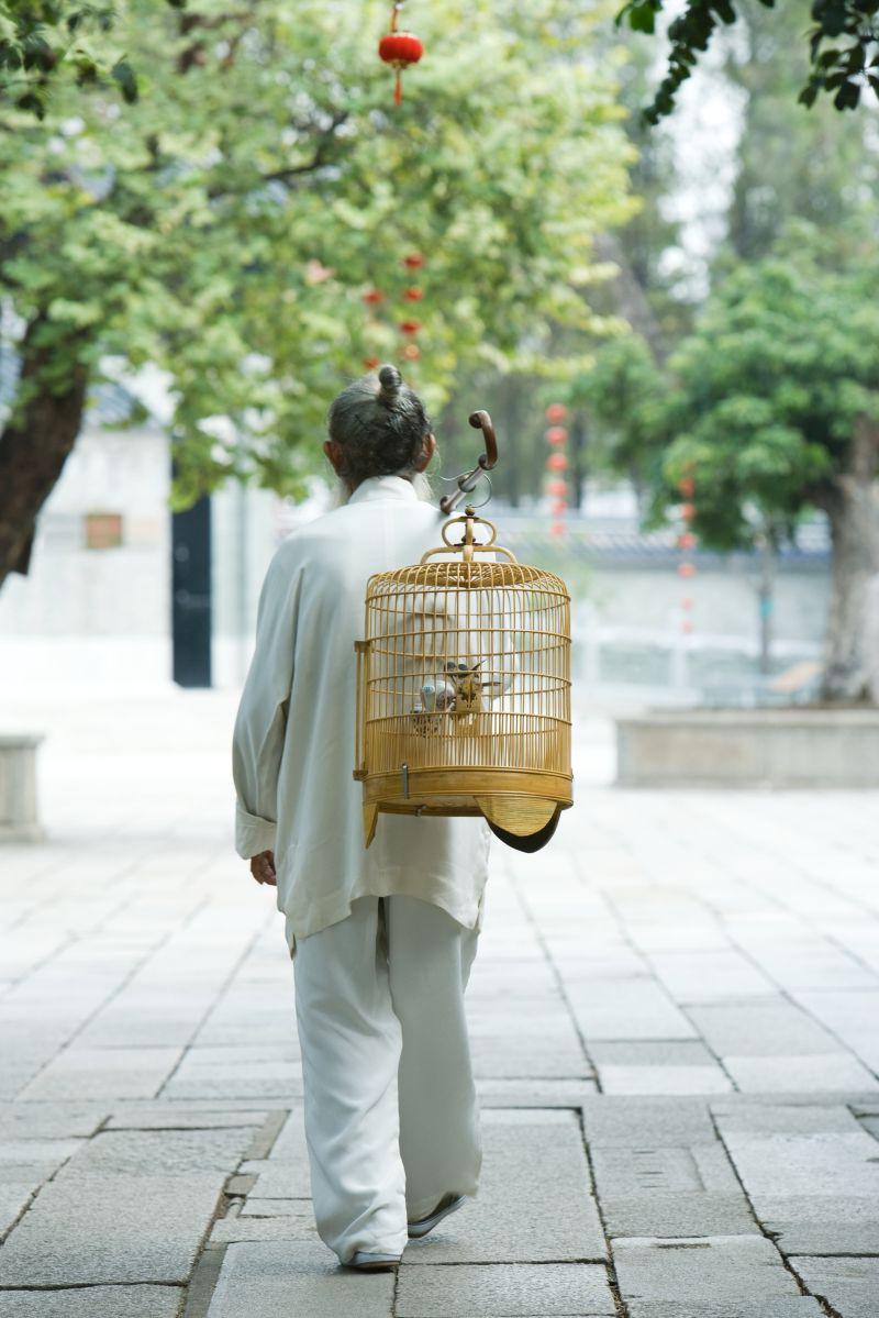 提着鸟笼的老人