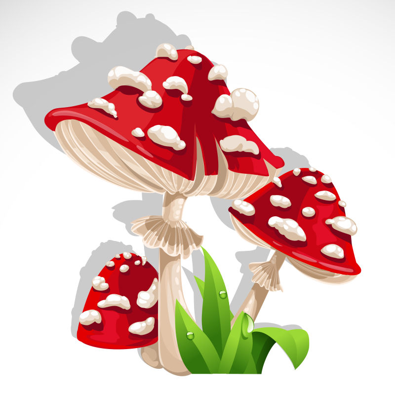 矢量的红色蘑菇卡通插图