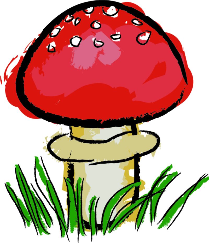 涂鸦风格的卡通蘑菇矢量插图