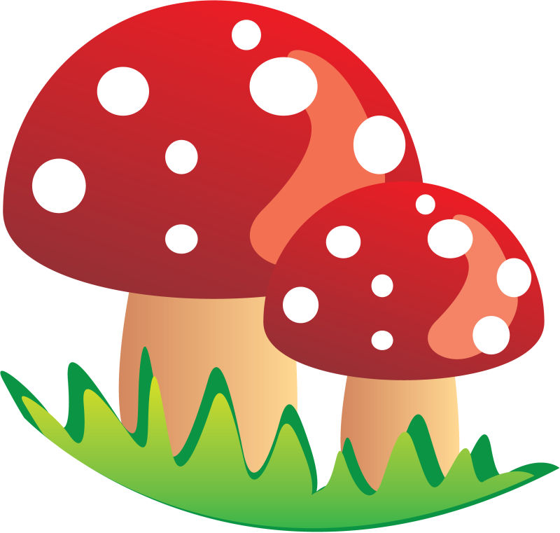 矢量的红蘑菇插图
