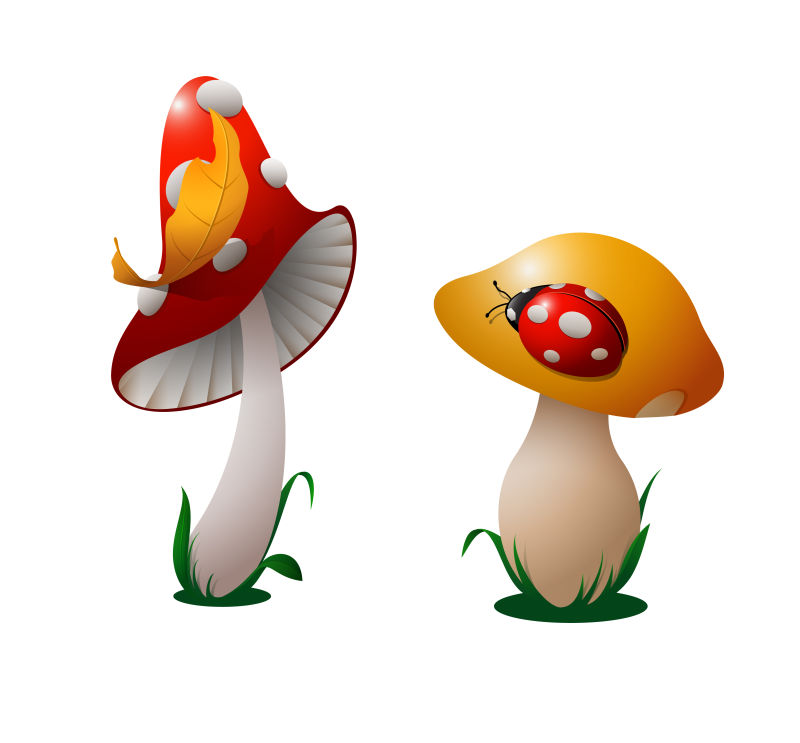 矢量的卡通蘑菇