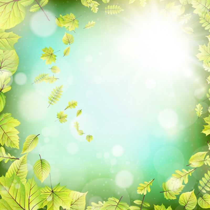 矢量夏天阳光下的绿叶设计