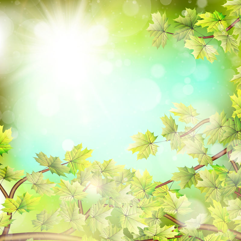 创意矢量阳光绿叶背景