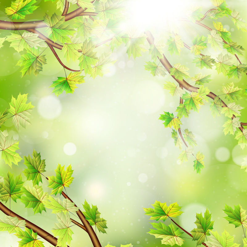 创意矢量绿叶自然设计背景