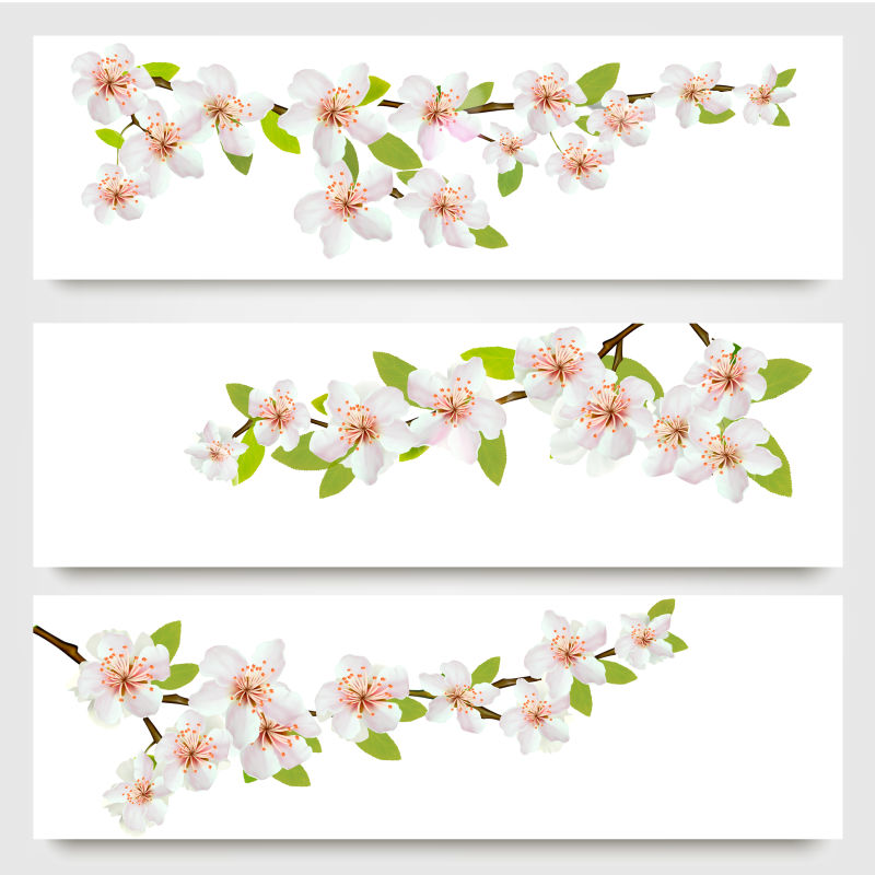 樱花图案的矢量卡片设计
