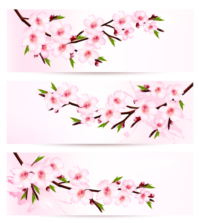 樱花图案的长卡片矢量设计
