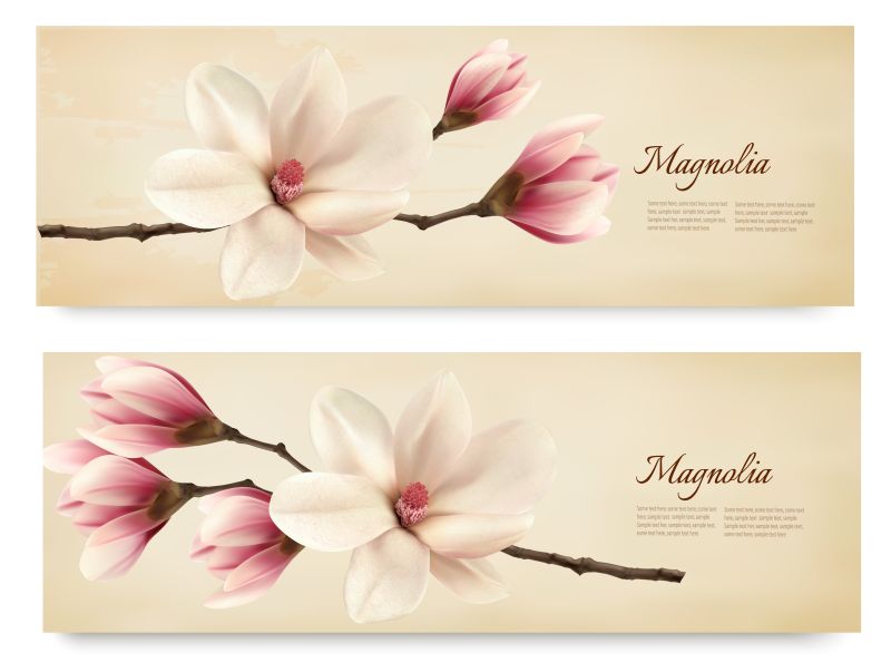 木兰花装饰的长卡片矢量设计