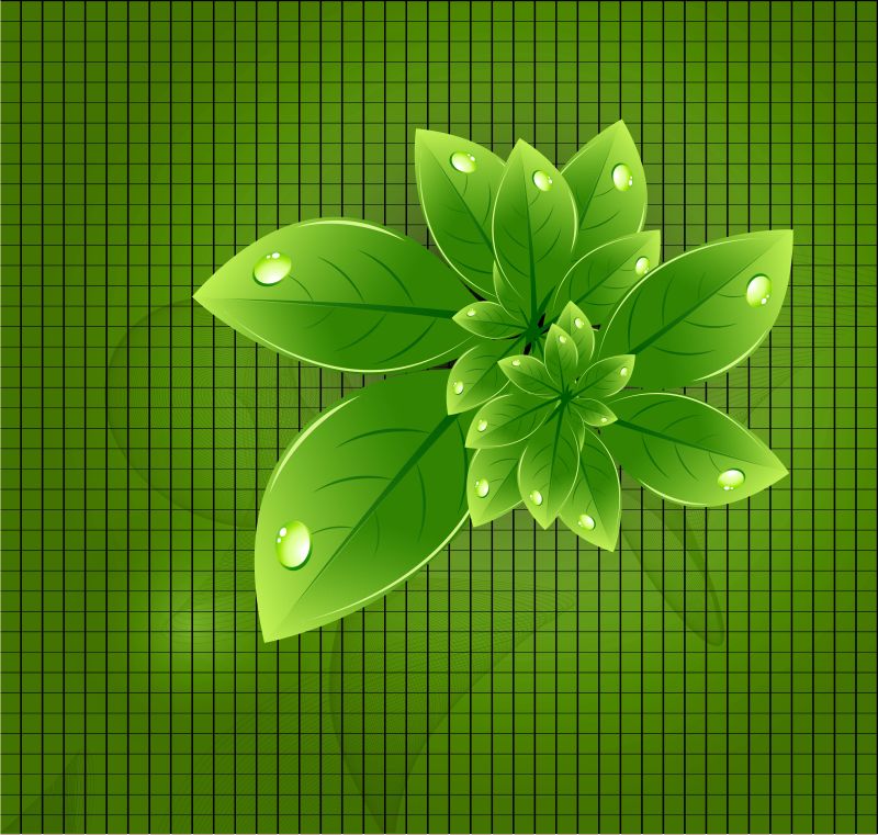 矢量抽象绿叶生态自然背景