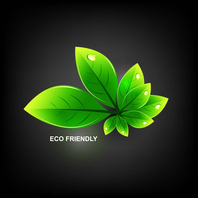 矢量有光泽的自然绿叶设计元素