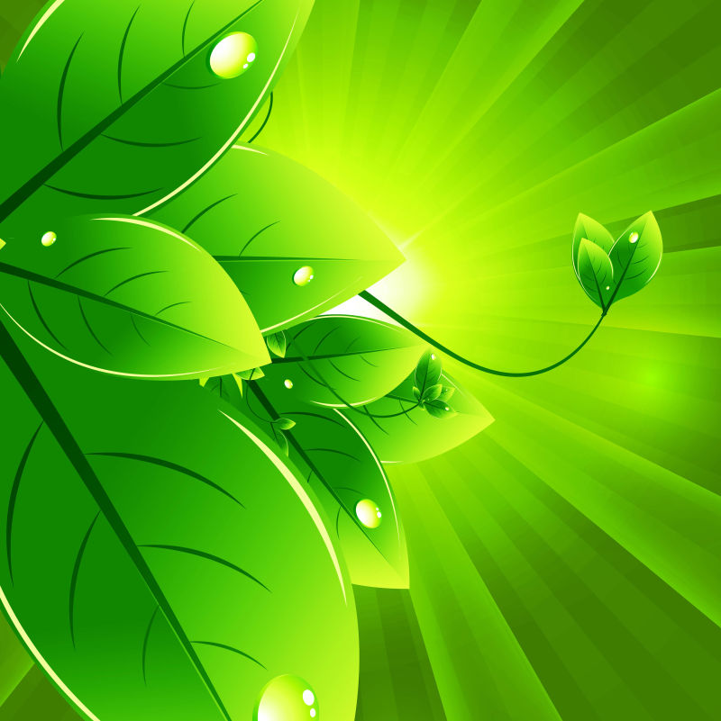 创意矢量生态自然绿叶抽象背景