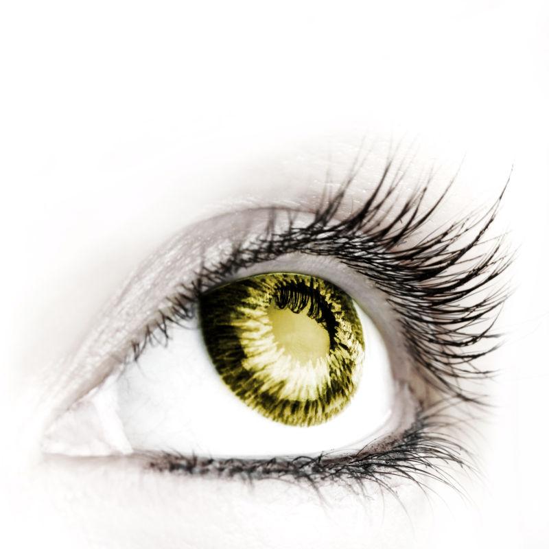 黄色瞳孔的女孩眼镜