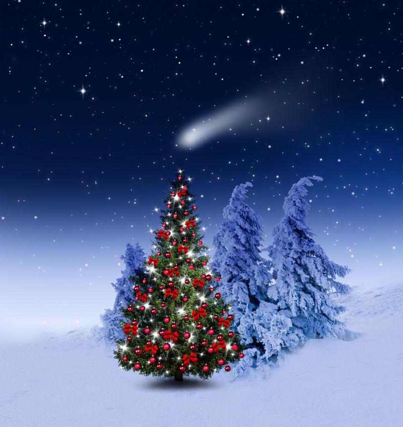 雪松边的美丽圣诞树