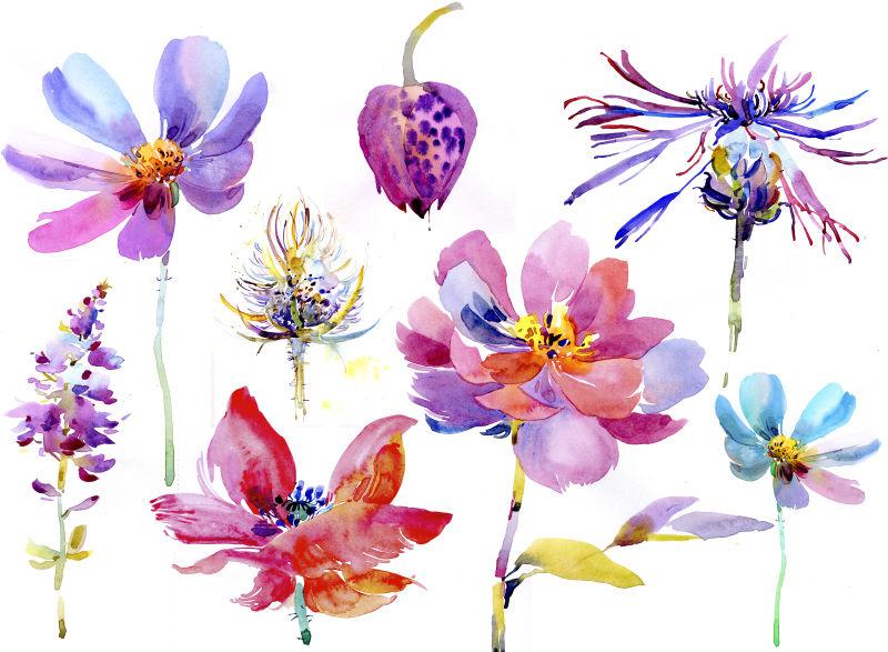 水彩花图片 手绘各类花朵素材 高清图片 摄影照片 寻图免费打包下载