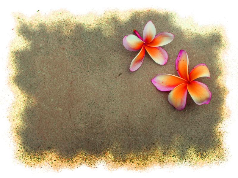 漂亮的橙色花朵的背景