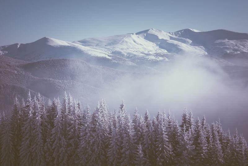 山上冬天的风景