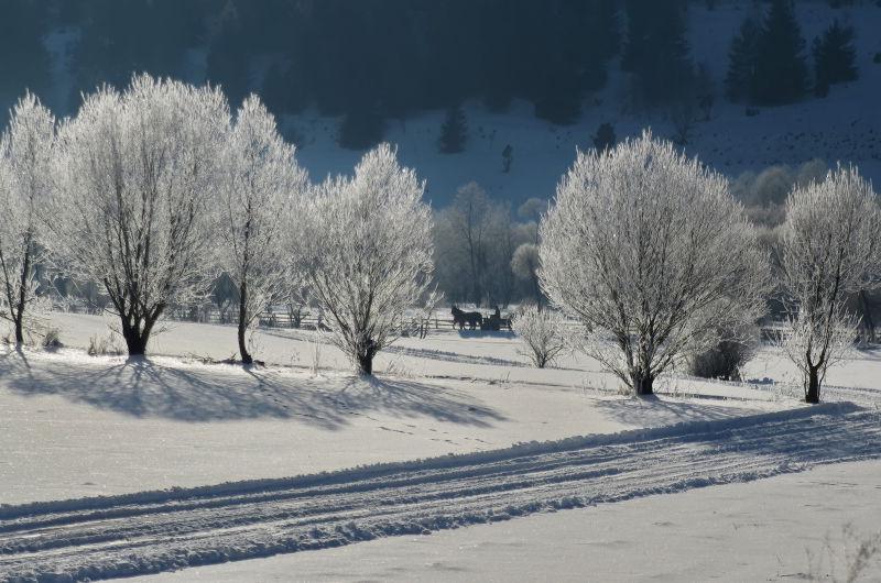 冬季景观道路