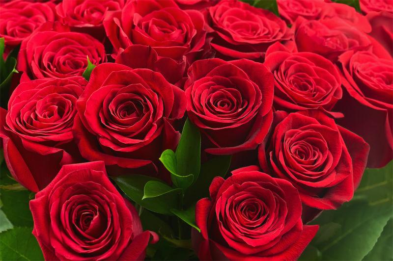 玫瑰红色花束为背景的花束