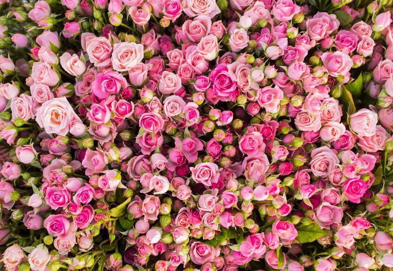 玫瑰花的抽象背景