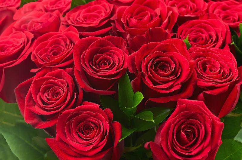 以玫瑰红色花束为背景的花束