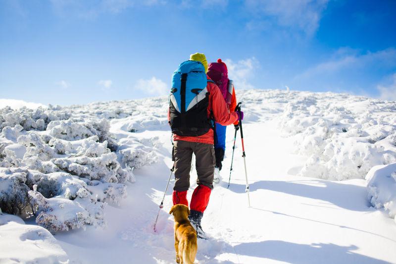 攀登雪山的登山队