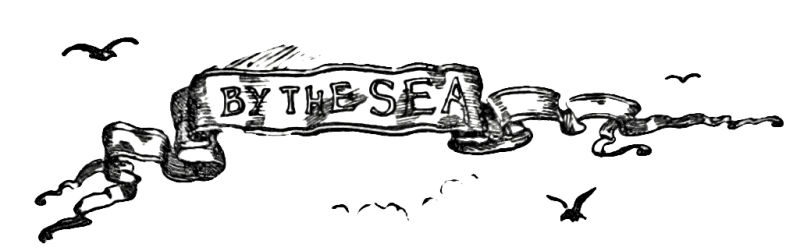 在海边黑白横幅背景