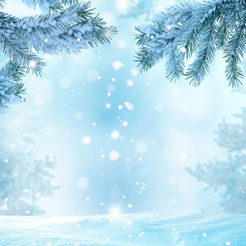 冬季雪地背景图片 美丽的下雪场景素材 高清图片 摄影照片 寻图免费打包下载