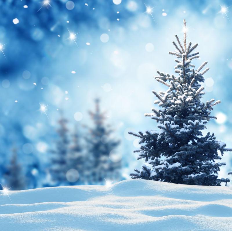 冬季雪地背景图片 户外下雪背景素材 高清图片 摄影照片 寻图免费打包下载