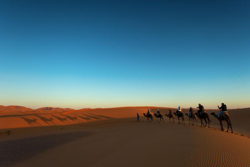 沙漠中行走的骆驼商队