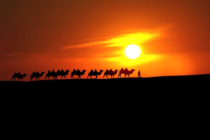 黄昏下的骆驼商队