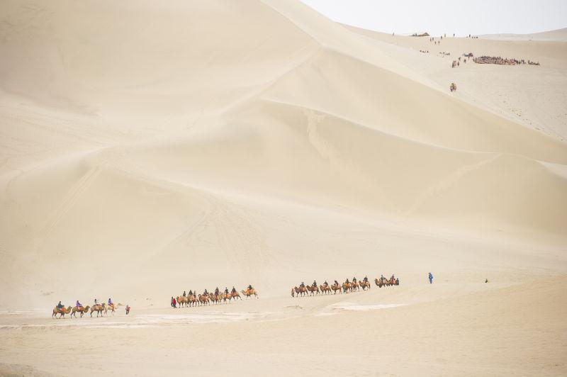 巴丹雅兰沙漠的骆驼商队